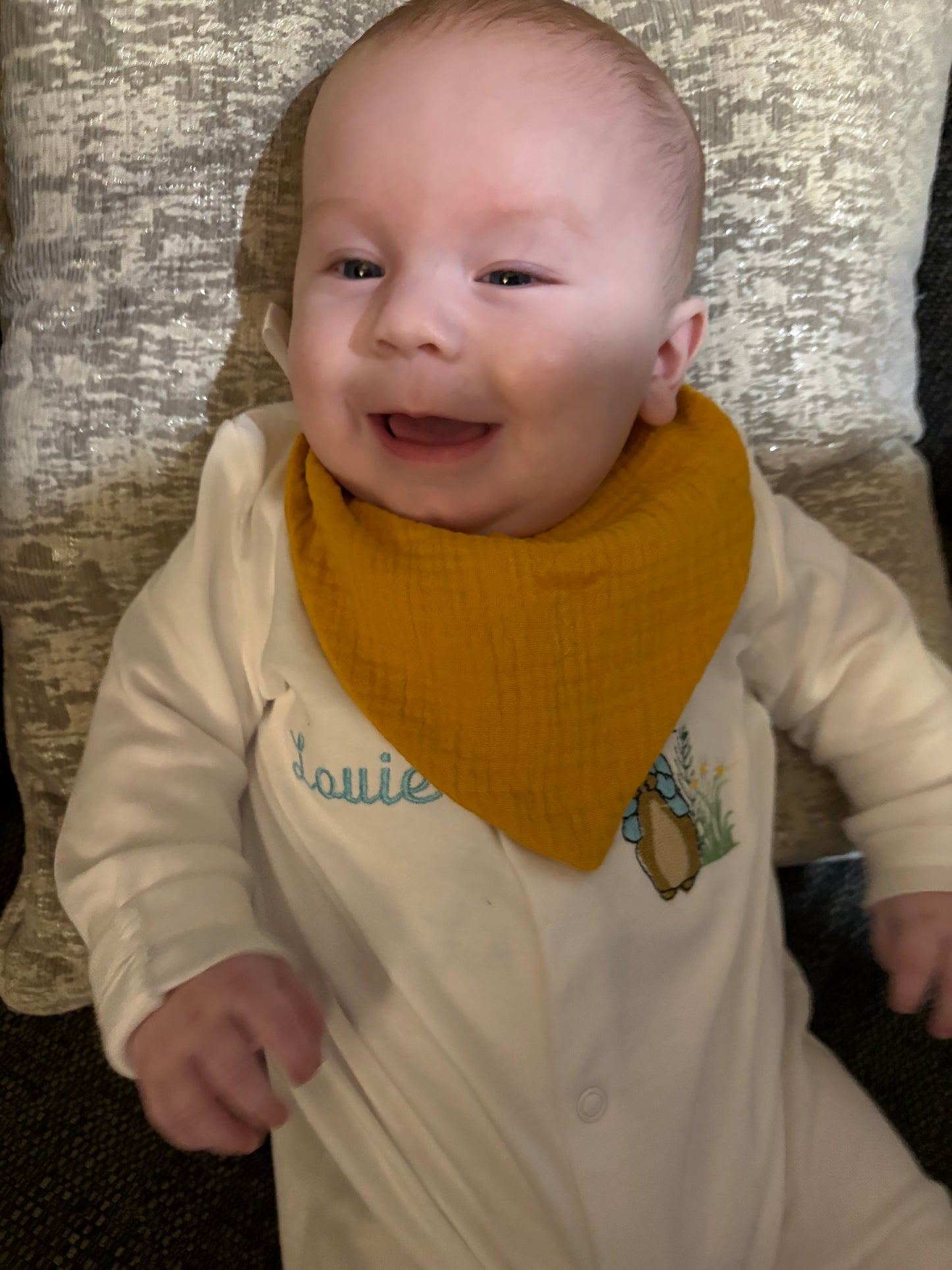 Personalized Embroidered Baby Bib - Bandana Dribble Bib, Custom Name