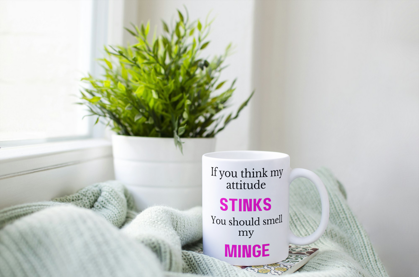 If You Think My Attitude Stinks You Should Smell My Minge Mug