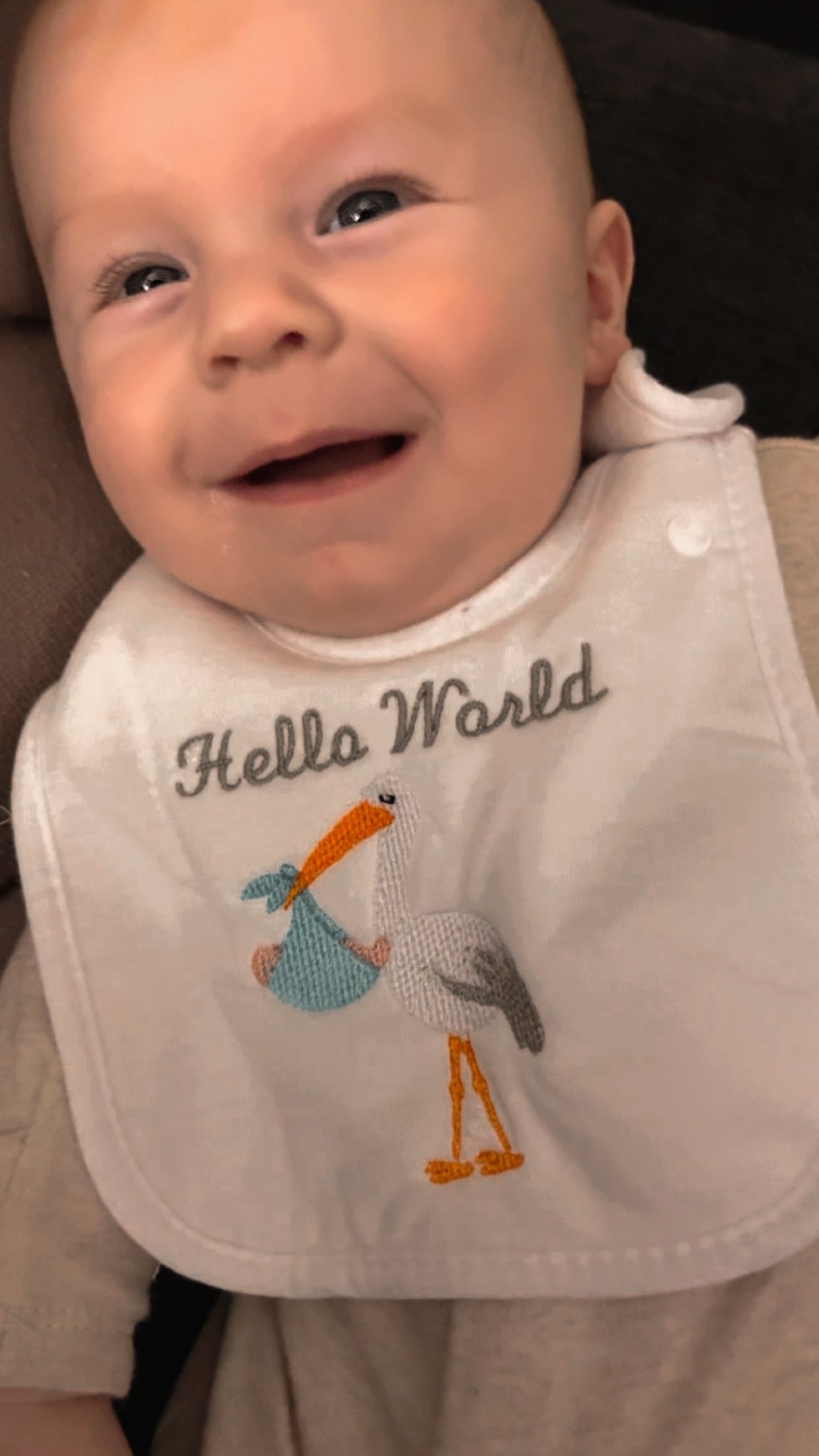 “Hello World” Baby Bib